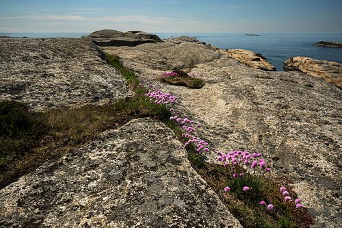 Verdens Ende