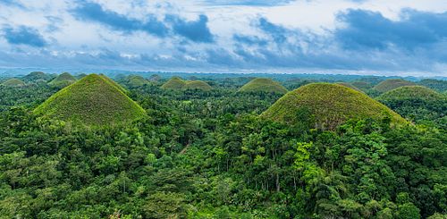 Water To Forest Ecolodge, eco resort, sustainable tourism | Bohol