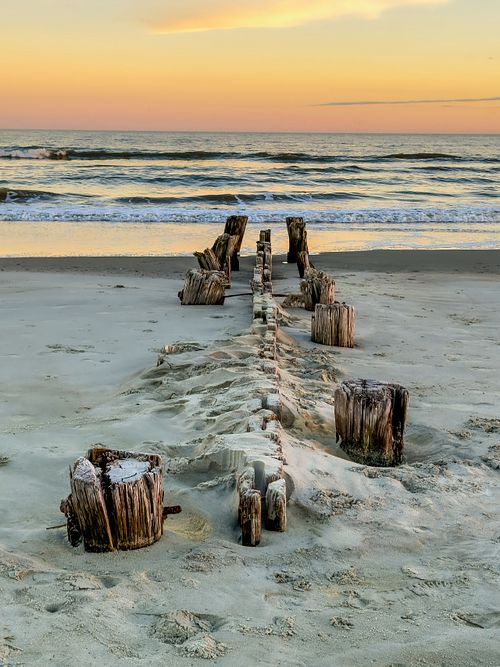 Washed Ashore on Folly Beach SC