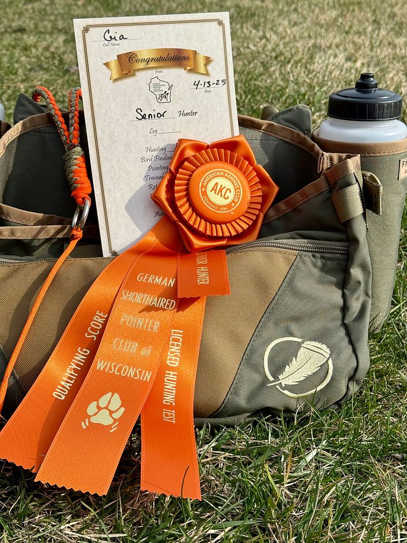 Patience, Perseverance and Perspective