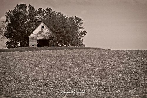Pattonsburg Barn I