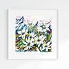 White Edelweiss Alpine Mountain Wild Flowers- Original Watercolour and Pen Illustration