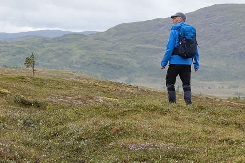 Man i blå skaljacka blickar ut över fjällandskap