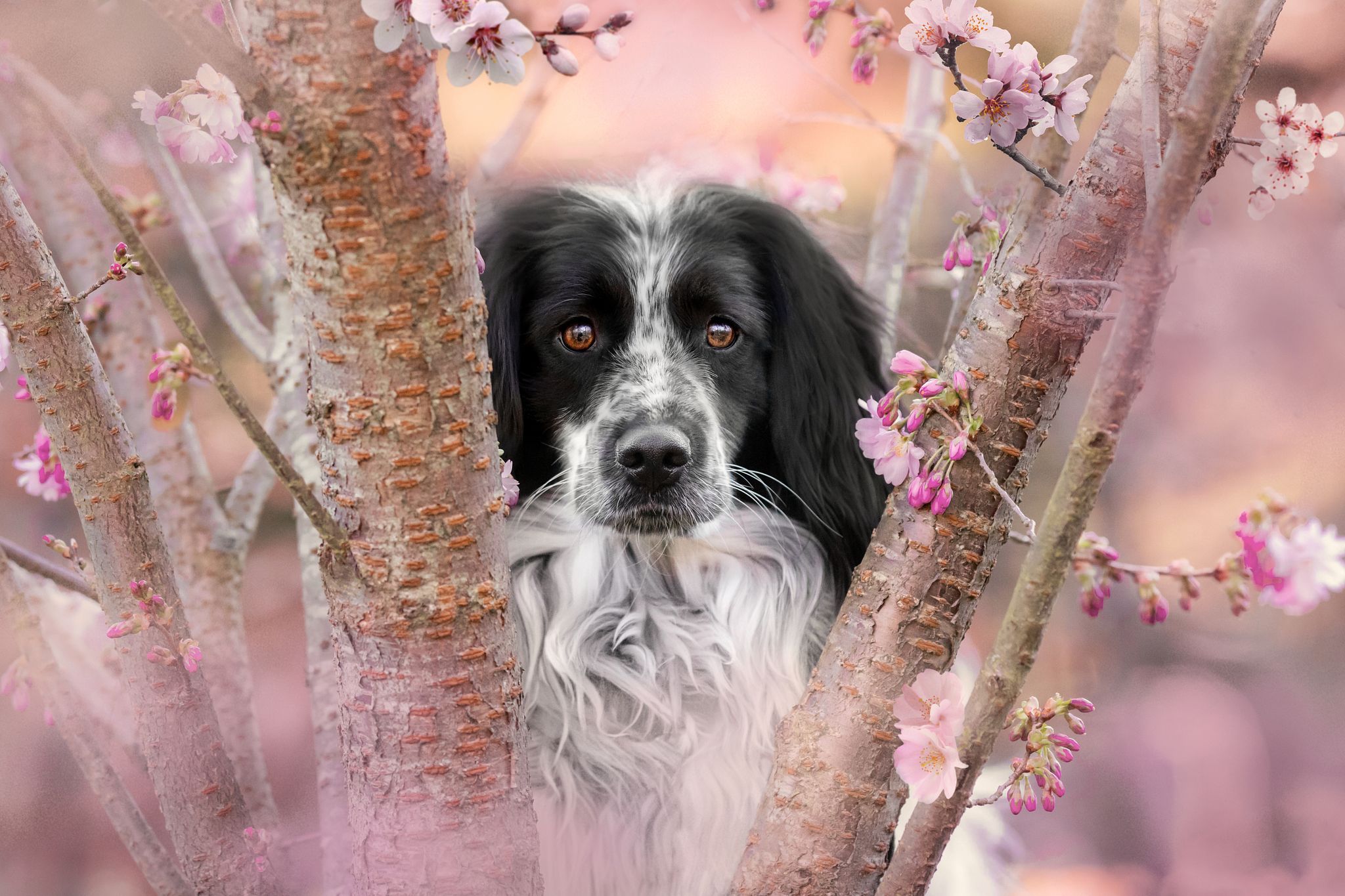 Lumi Foto
