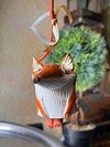 Little fox, ceramic mini sculpture