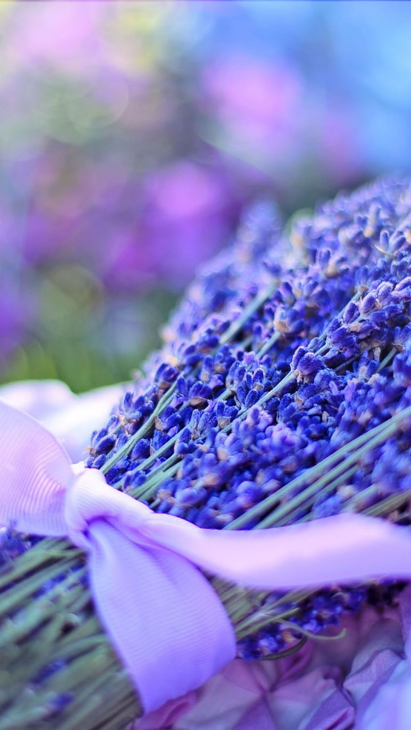 10 Lavender Benefits Backed by Nature (+ Easy Ways to Use It Daily)