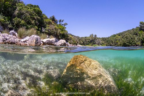 Croatian bay with seagrass
