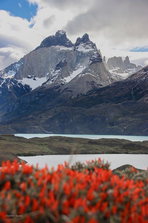 Torres del Paine