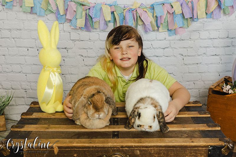 2026 Spring Bunny Photos in Arvada, Colorado