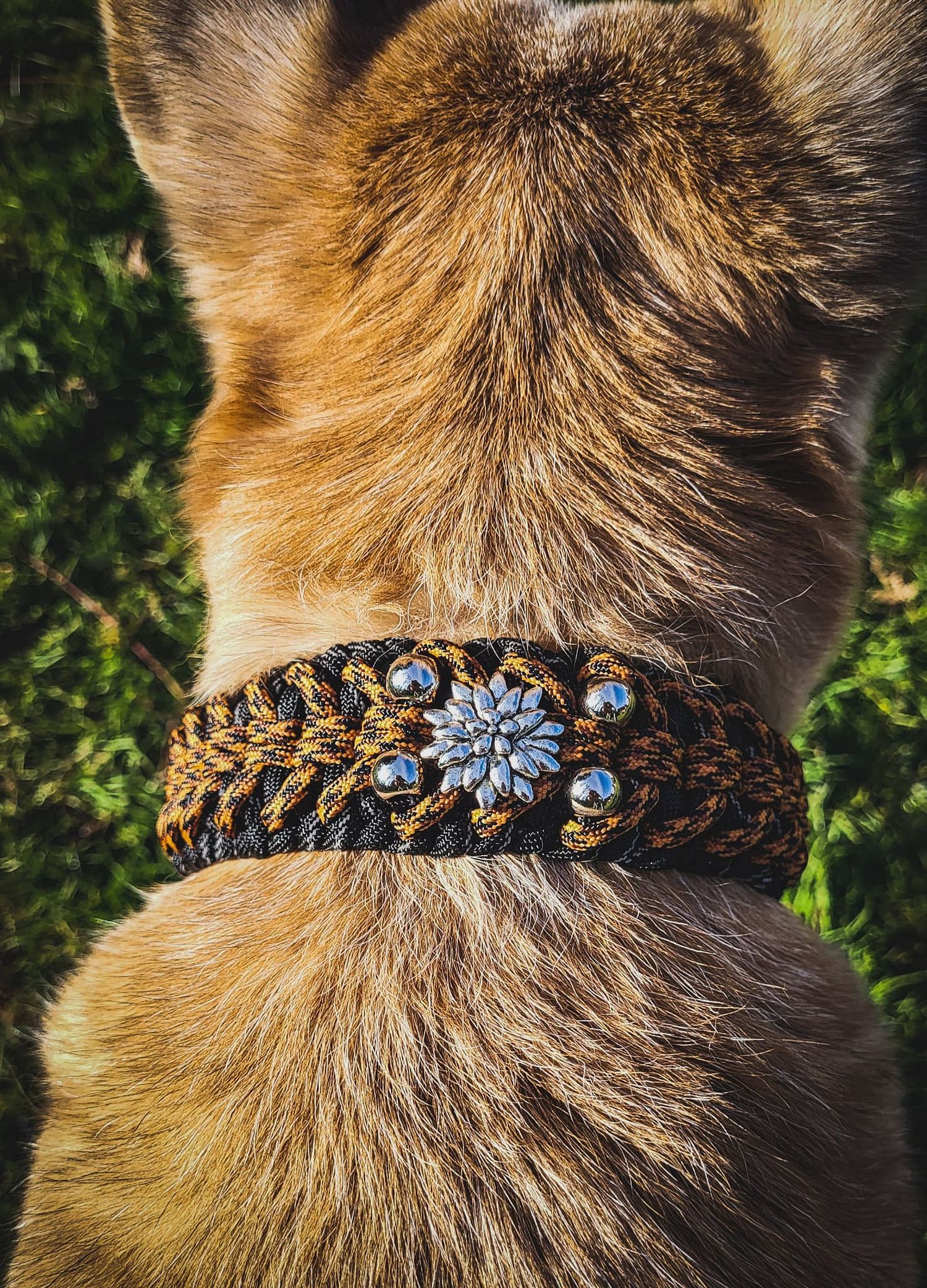 PARAPAW - Swiss Paracord Handmade