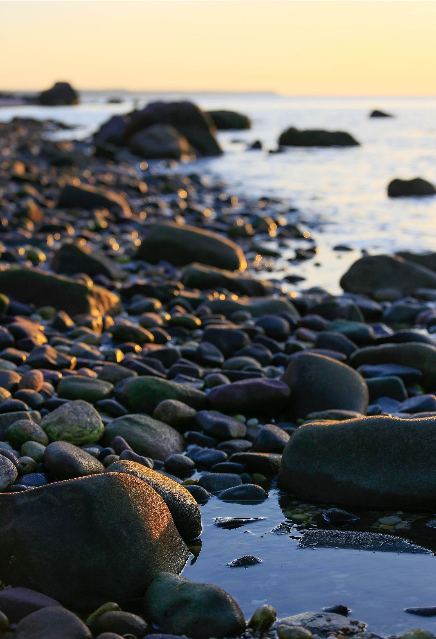 ALISON PERRY PHOTOGRAPHY