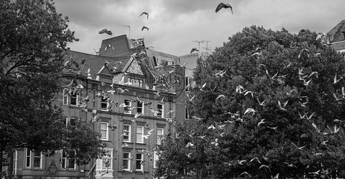 voco-wedding-leicester-wedding-by-jermaine