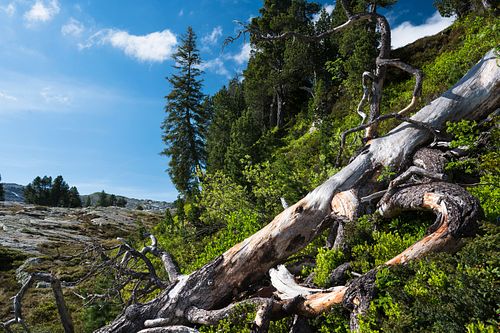 Karstlandschaft Seefeld