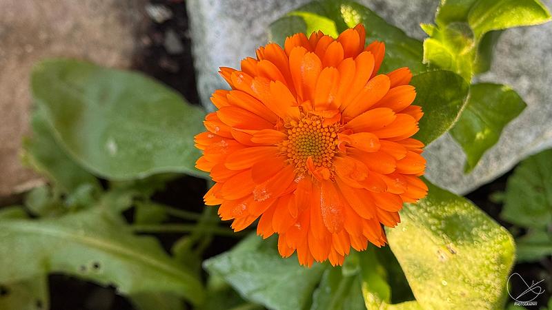 Studioet er stengt 31. oktober