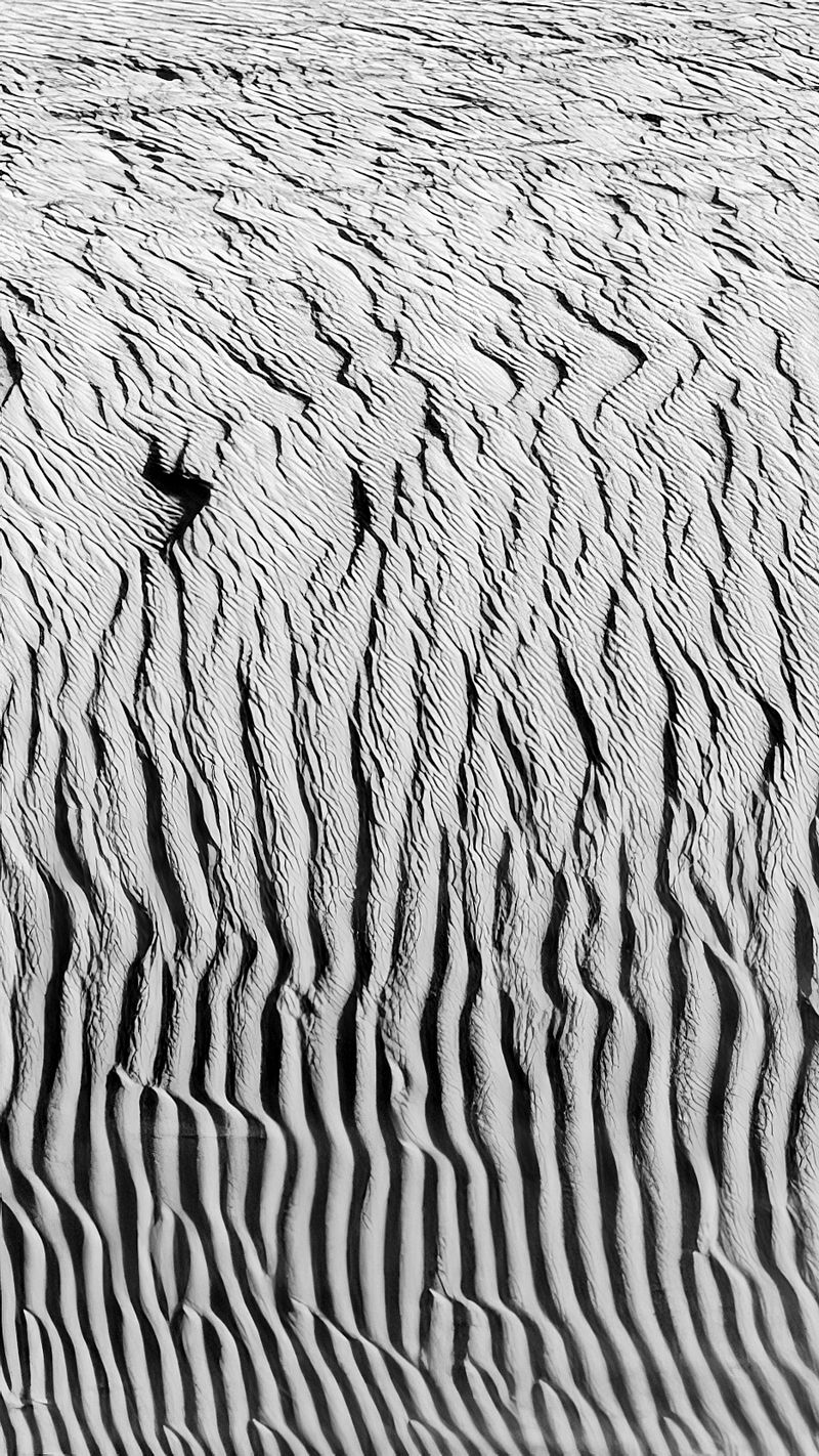 Seeing What’s Already There: A Simple Approach to Nature Photography