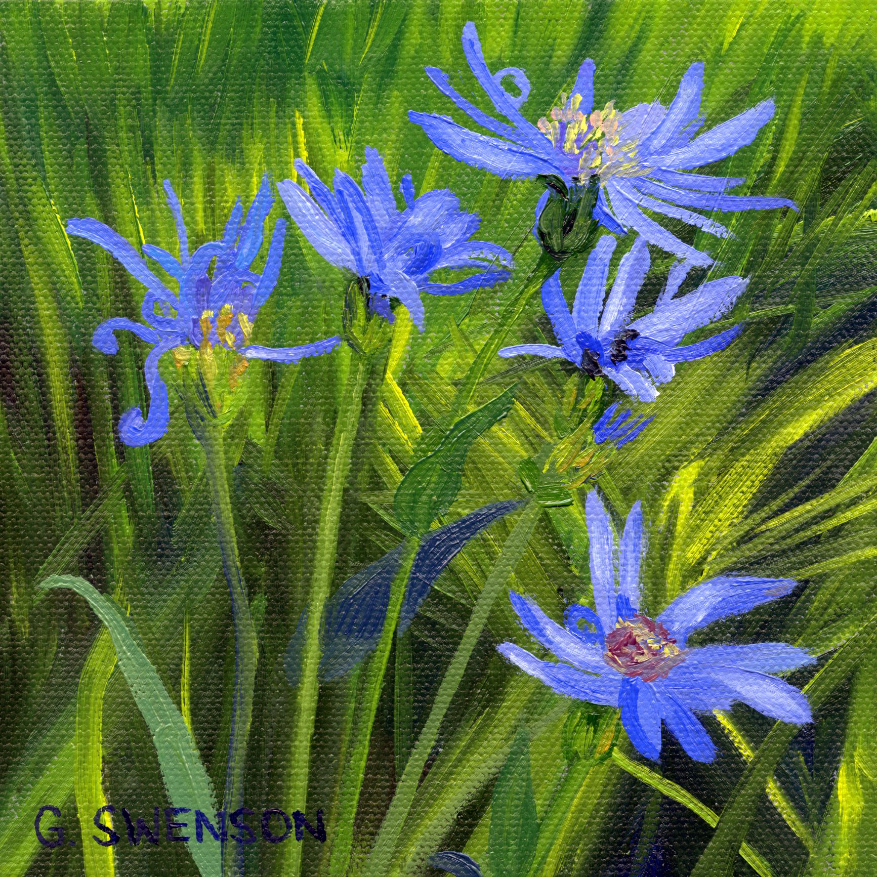 Wildflowers