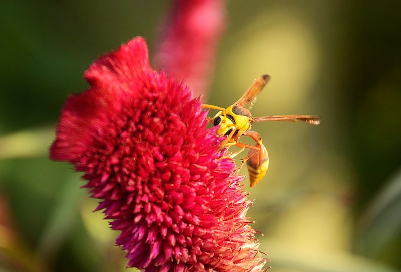 Unveiling the Unseen: Beyond Pro Cameras in Photography