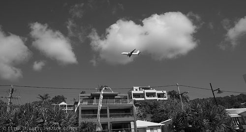 Swell Sculpture Festival. Gold Coast.