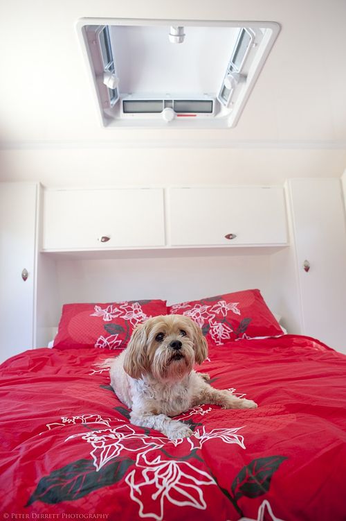 Beautiful 15-year-old Zoe