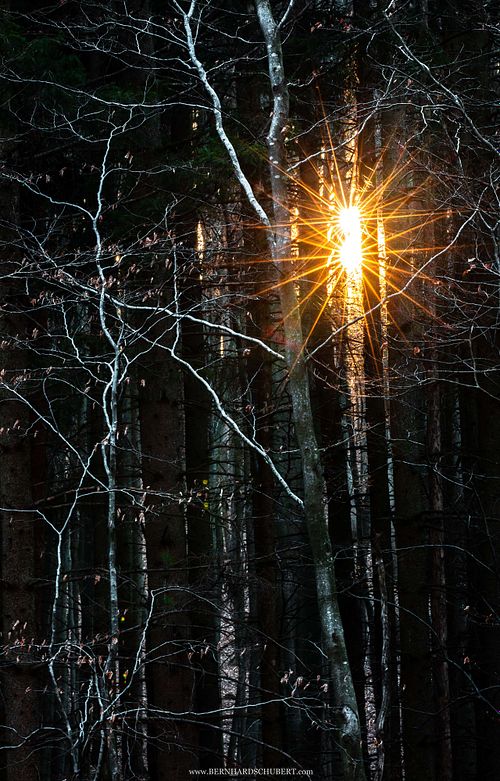 Doppelter Sonnenstern