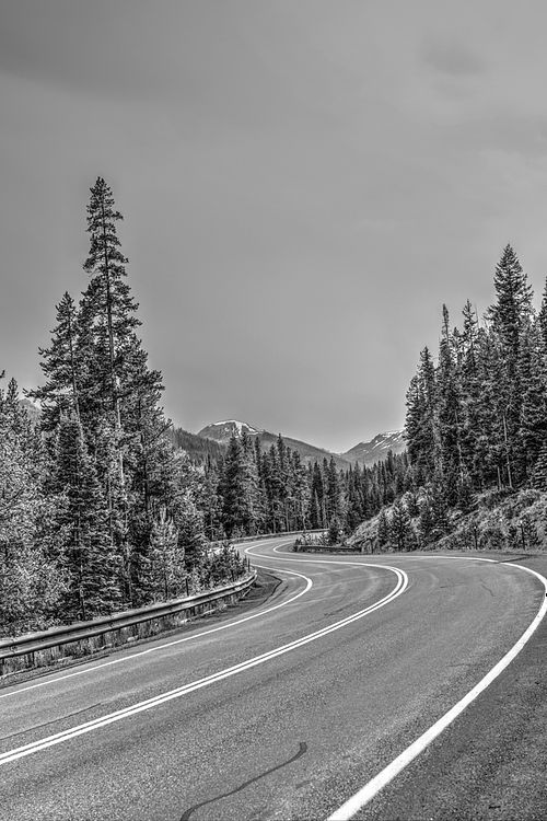 7 foot photographer, workshop tour in US, United States, black & white, b&w, curvy road