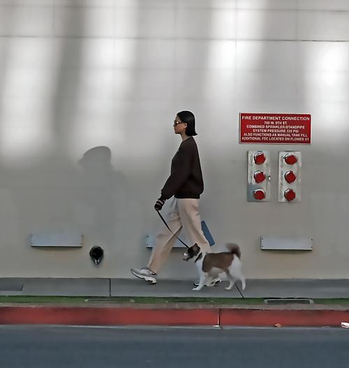 Wallking Her Dog