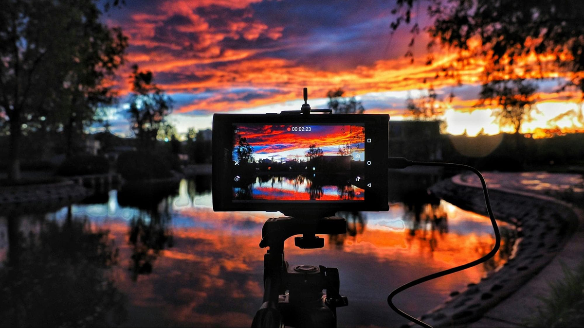 prendre une photo de la nature