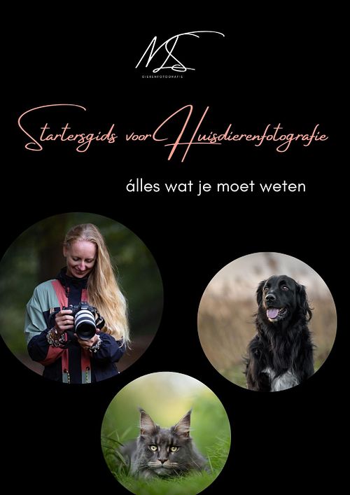 E-book: Startersgids voor huisdierenfotografie
