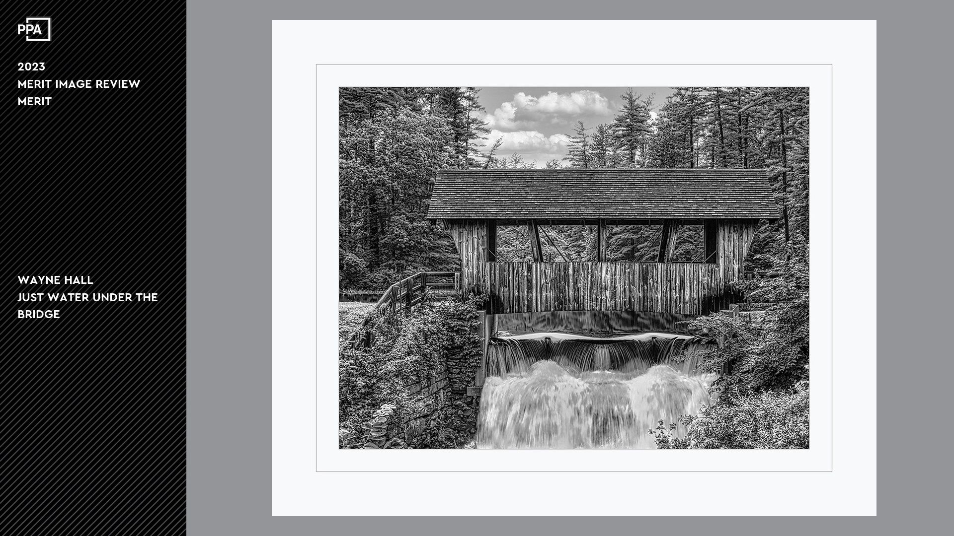 WALL Photography & Design